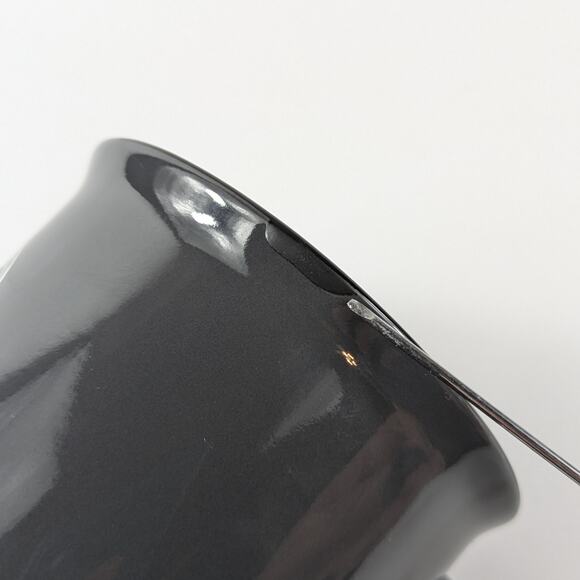 Goguardian Enamel Coffee Mug El Segundo California Unleash Curiousity Raccoon - Picture 10 of 14